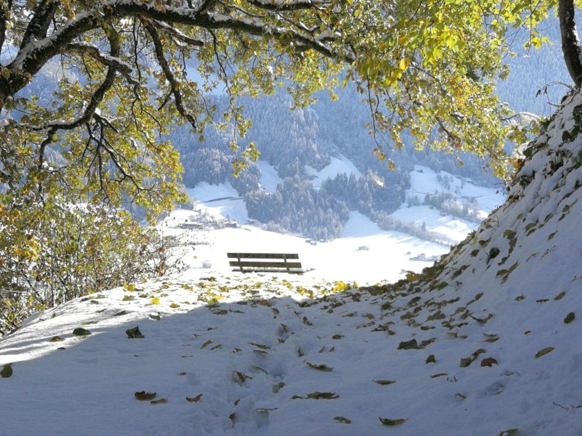 Holiday Flat Daniela, Hippach Im Zillertal מראה חיצוני תמונה